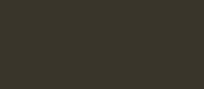 RAL 6008 - brown grey ( коричнево-серый )