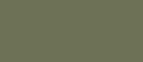 RAL 6013 - reed green (зеленый тростник )