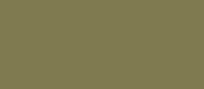 RAL 7002 - olive grey ( оливковый серый )