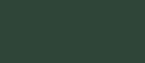 RAL 6005 - moss green ( зеленый мох )