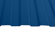 RAL 5005