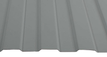 RAL 7004