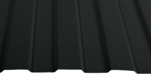RAL 9005