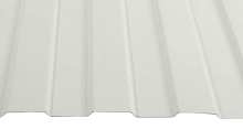 RAL 9010