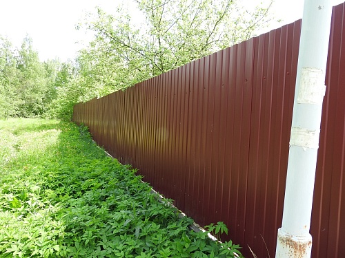 Забор из профнастила для участка